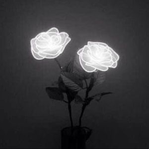 Meet your Posher, Genevieve